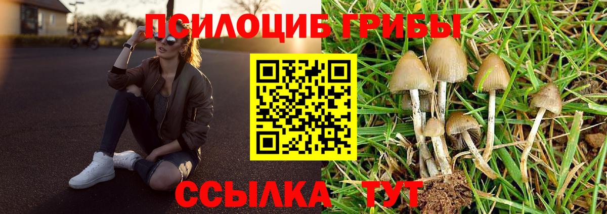 Псилоцибиновые грибы ЛСД  Галлюциногенные грибы Cubensis  Кисловодск  Вход с VPN 
