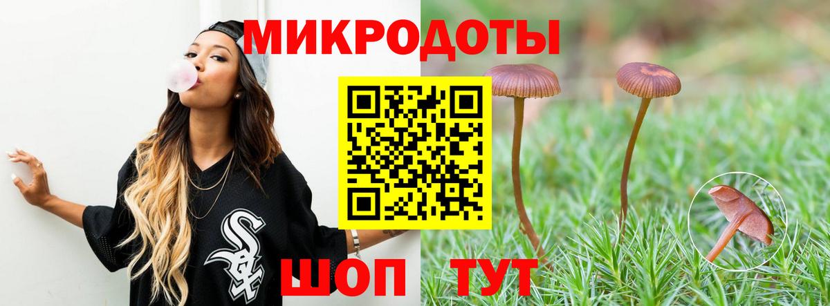 Галлюциногенные грибы мухоморы Кисловодск