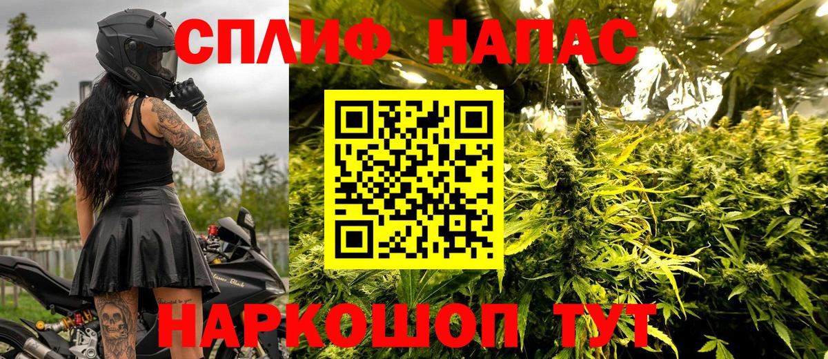 Марихуана THC 21% Кисловодск